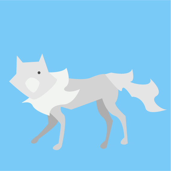 Lobo